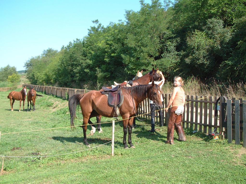 Kisecset-vendégház Extérieur photo